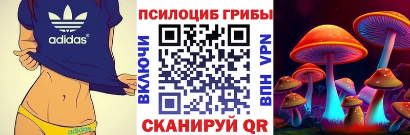 где продают   Саяногорск  МЕГА tor  Галлюциногенные грибы Magic Shrooms 
